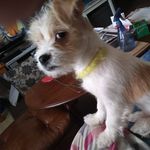 Becky Ferrell - @beckinalexandriaindiana - Instagram