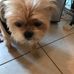 Becky Finer - Facebook