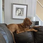 Becky Reed Fitzpatrick - @beckypaul2024 - Instagram