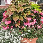 Becky Stewart Flowers - @beckystewartflowers - Instagram
