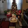 beckyflowers391 - @beckyflowers391 - TikTok