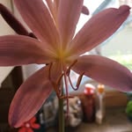 Becky Folk - @folk.becky - Instagram