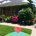 Becky Forcey - Facebook