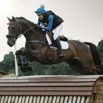 Becky Forrest - @becky.forrest.73 - Instagram