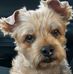 Rebecca Fraley - Facebook
