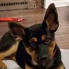 BeckyFredericksen0827 - @beckyfredericksen - TikTok