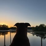 Becky Flynt Fredrick - @becky.fredrick - Instagram