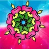 Becky Fredrick - @beckyfredrick539 - TikTok