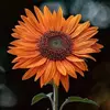 Becky Fultz889 - @beckyfultz889 - TikTok