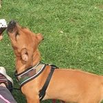 Becky_goode - @becky_goode101 - Instagram