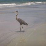 Becky Goode Oliver - @becky.goode.90 - Instagram