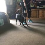 Becky Goodman - @becky.goodman.351 - Instagram