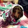 Becky Goodman - @becky.goodman2 - TikTok