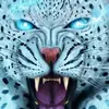 beckygoodman59 - @beckygoodman59 - TikTok