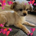 Becky Granger - @pintsize2704 - Instagram