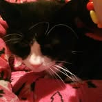 Becky Gregory - Facebook