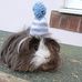 Becky Grice - Facebook