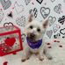 Becky Grice - Facebook