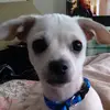 beckygriffies - @beckygriffies - TikTok
