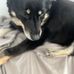 Becky Grubb - Facebook