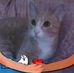 Becky Grubbs - Facebook