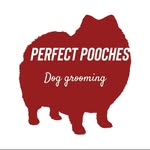 Becky Harper - @perfect_pooches_24 - Instagram
