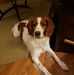 Becky Harper - Facebook