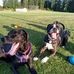 Becky Harrell - Facebook