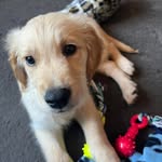 Becky Harvey - @becky.harvey.169 - Instagram