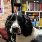 Becky Harvey - @trubex2000 - Instagram
