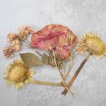 Becky Harvey - @beckyharveyphotography - Instagram