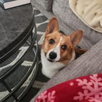 Becky Hatton - @queenbeee90210 - Instagram