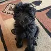 beckyhazelcrum - @beckyhazelcrum - TikTok