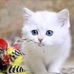Becky Herbert - Facebook