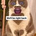 Becky Herring - Facebook