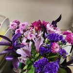 Becky Herring - @hodgson.b - Instagram