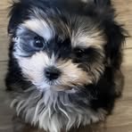 Becky Hooks - Facebook