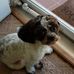 Becky Huff - Facebook