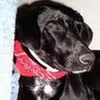 beckyjacobson51 - @beckyjacobson51 - TikTok