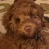 Becky Johnston - @johnston71391 - TikTok