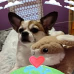 Becky Joiner - Facebook