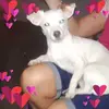 beckyjoyner1 - @beckyjoyner1 - TikTok