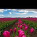 Becky Juarez - Facebook