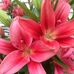 Becky Kellum Craven - Facebook