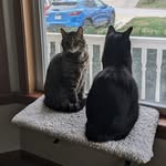 Becky Rohrbacker Keys - @beckykeys3 - Instagram