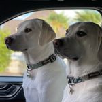 Becky Kipp - @bkx2 - Instagram