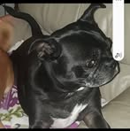 Becky Kiser - Facebook