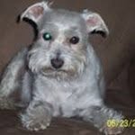 Becky Kiser - @bkiser2002 - Instagram