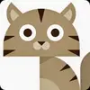 Becky Kitchen - @becky.kitchen19 - TikTok