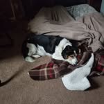 Becky Kline - @becky.kline.370 - Instagram